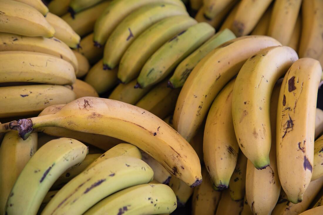 Fresh bananas 
